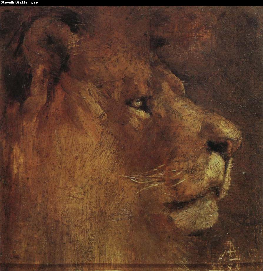 Louis Abrahams Lion-s head